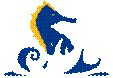 GLS Seahorse