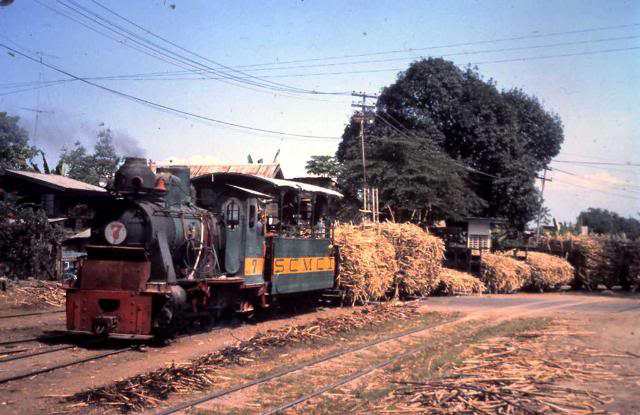 巴科羅 Bacolod 又被稱為「蔗糖之鄉」，巨大的蒸汽火車仍用來在島上運送糖製品