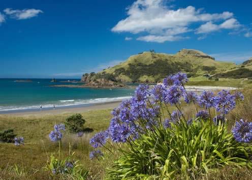 紐西蘭遊學-Kaplan-奧克蘭分校-周邊環境
