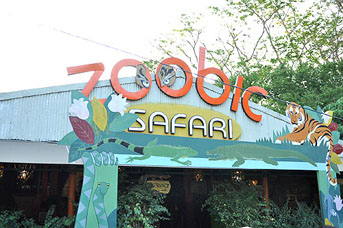 ߻C-ĬJSubic-Zoo